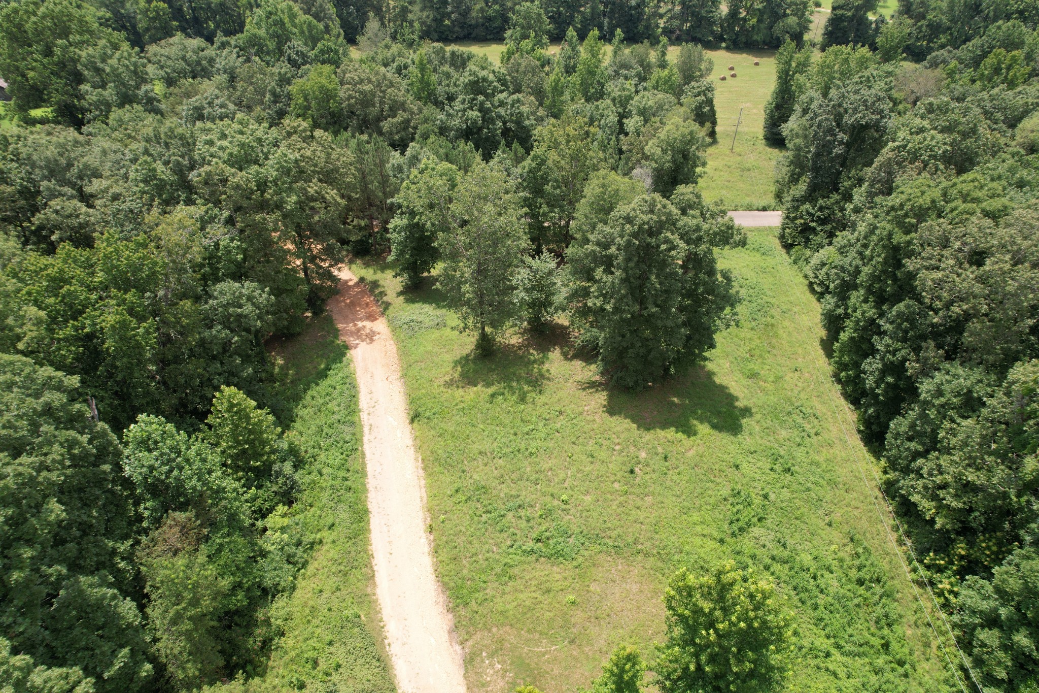 1640 Bucket Branch Road Waverly, TN 37185 - Photo 35 of 38 a view of a yard