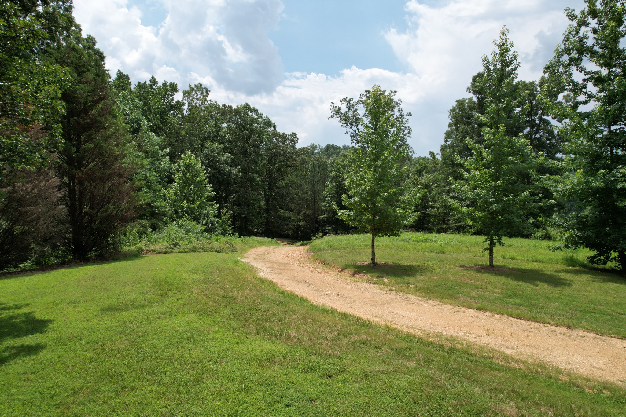 1640 Bucket Branch Road Waverly, TN 37185 - Photo 36 of 38 a view of a park