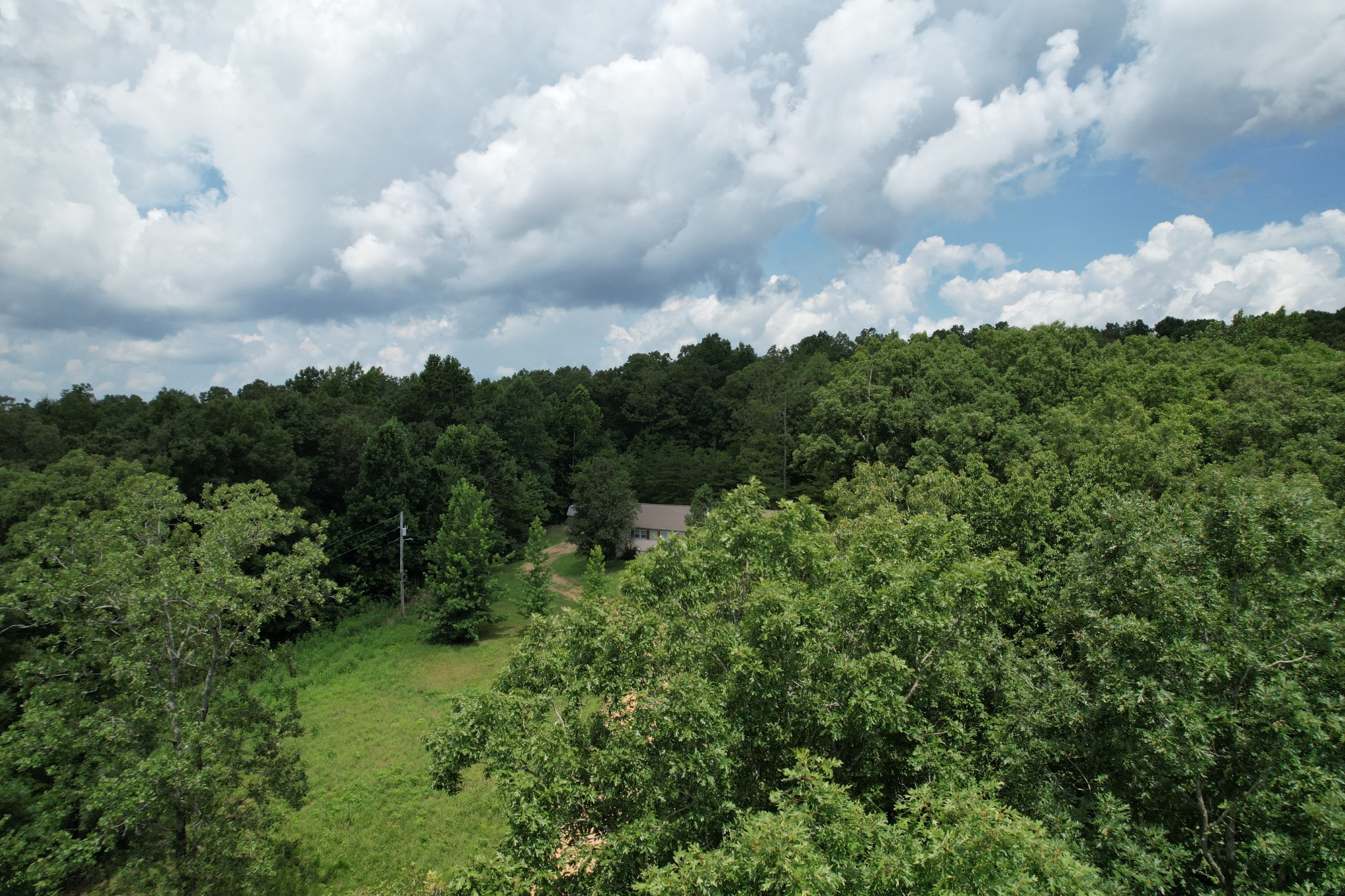 1640 Bucket Branch Road Waverly, TN 37185 - Photo 37 of 38