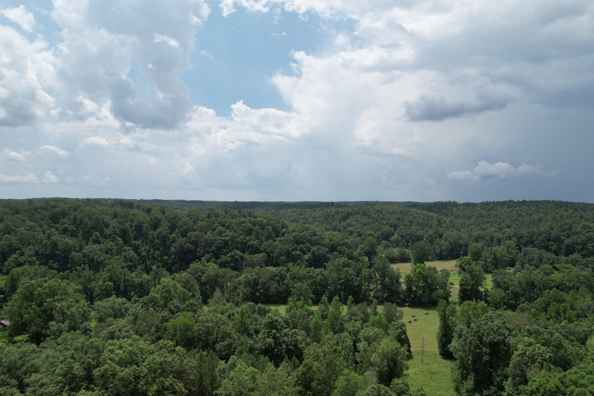 1640 Bucket Branch Road Waverly, TN 37185 - Photo 38 of 38 an aerial view of residential house with space and trees around