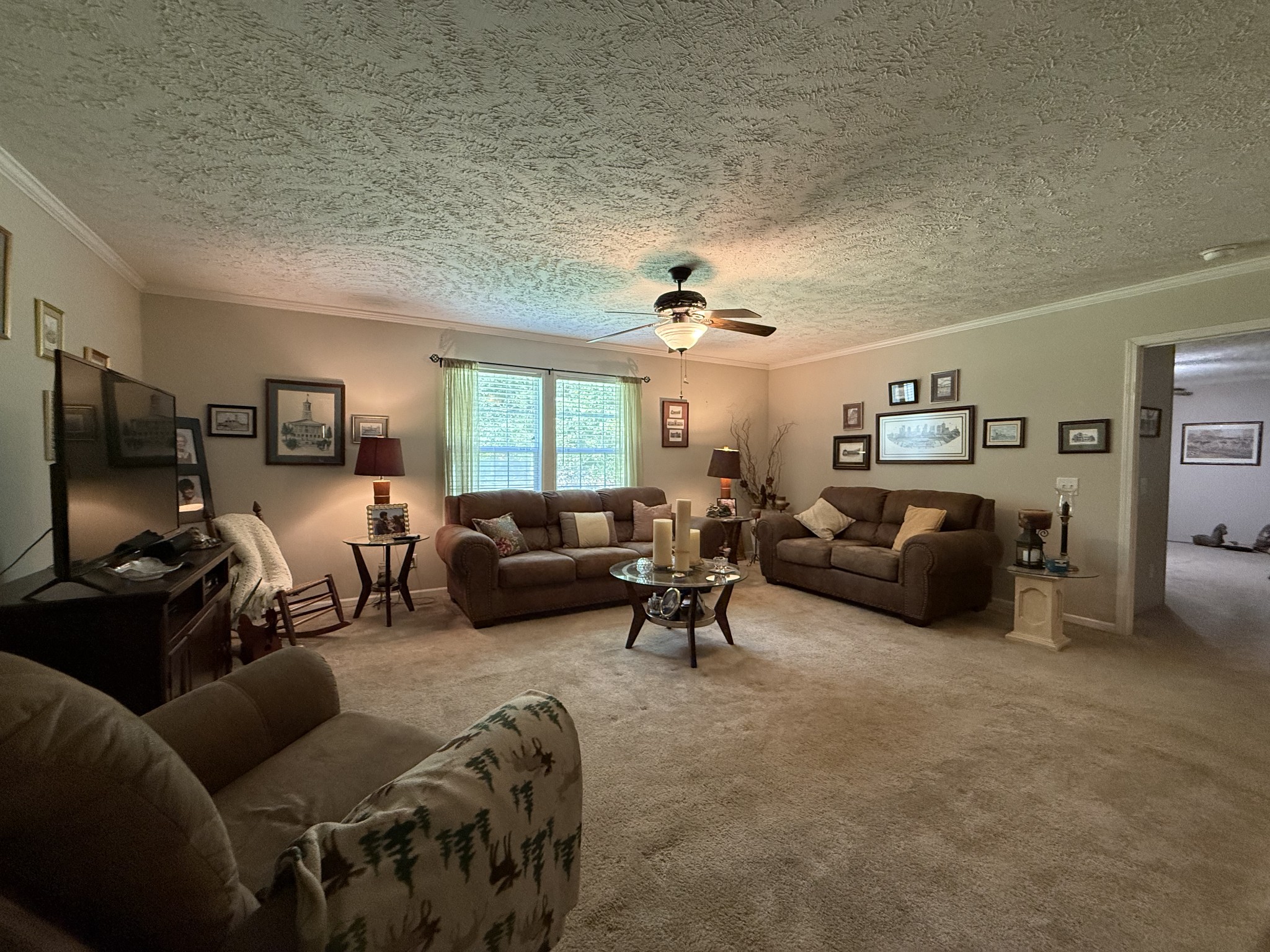 1640 Bucket Branch Road Waverly, TN 37185 - Photo 5 of 38 a living room with furniture window and a flat screen tv