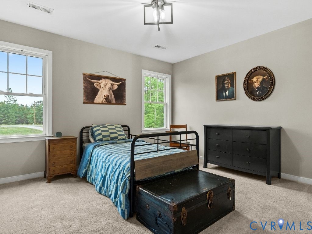 2033 Moseley Road Moseley, VA 23120 - Photo 35 of 56