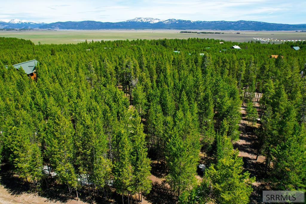 4013 North Salt Lick Loop, Island Park, ID 83429 Compass