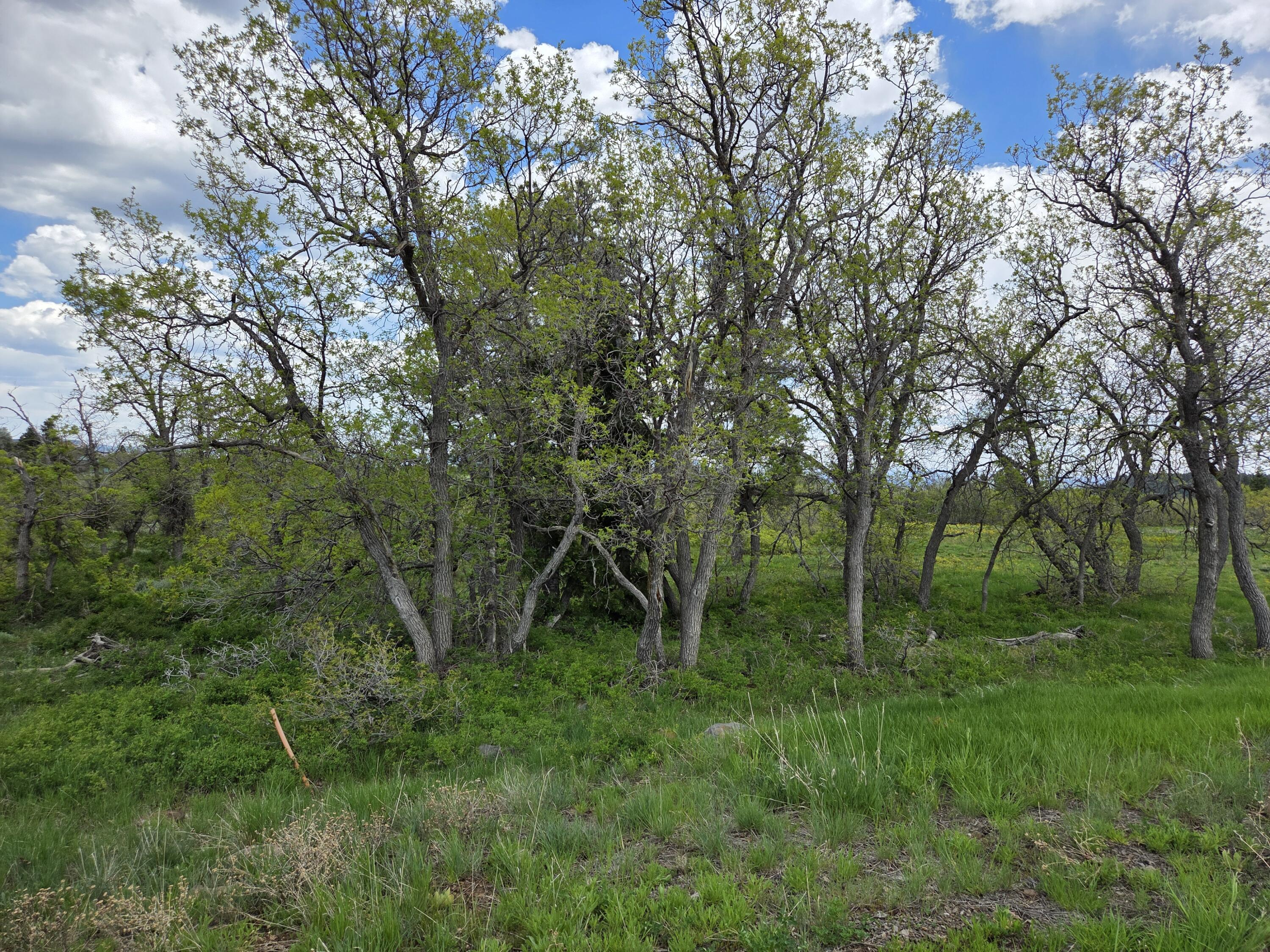 Lot 10 Spring Drive Springdale, UT 84767 - Photo 4 of 14 1000006227