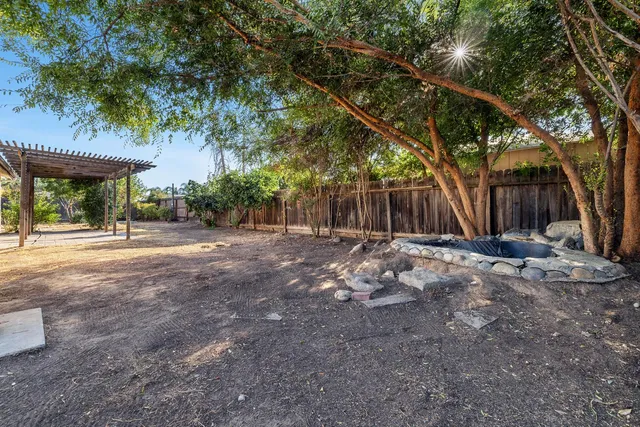 a view of a yard with plants and trees