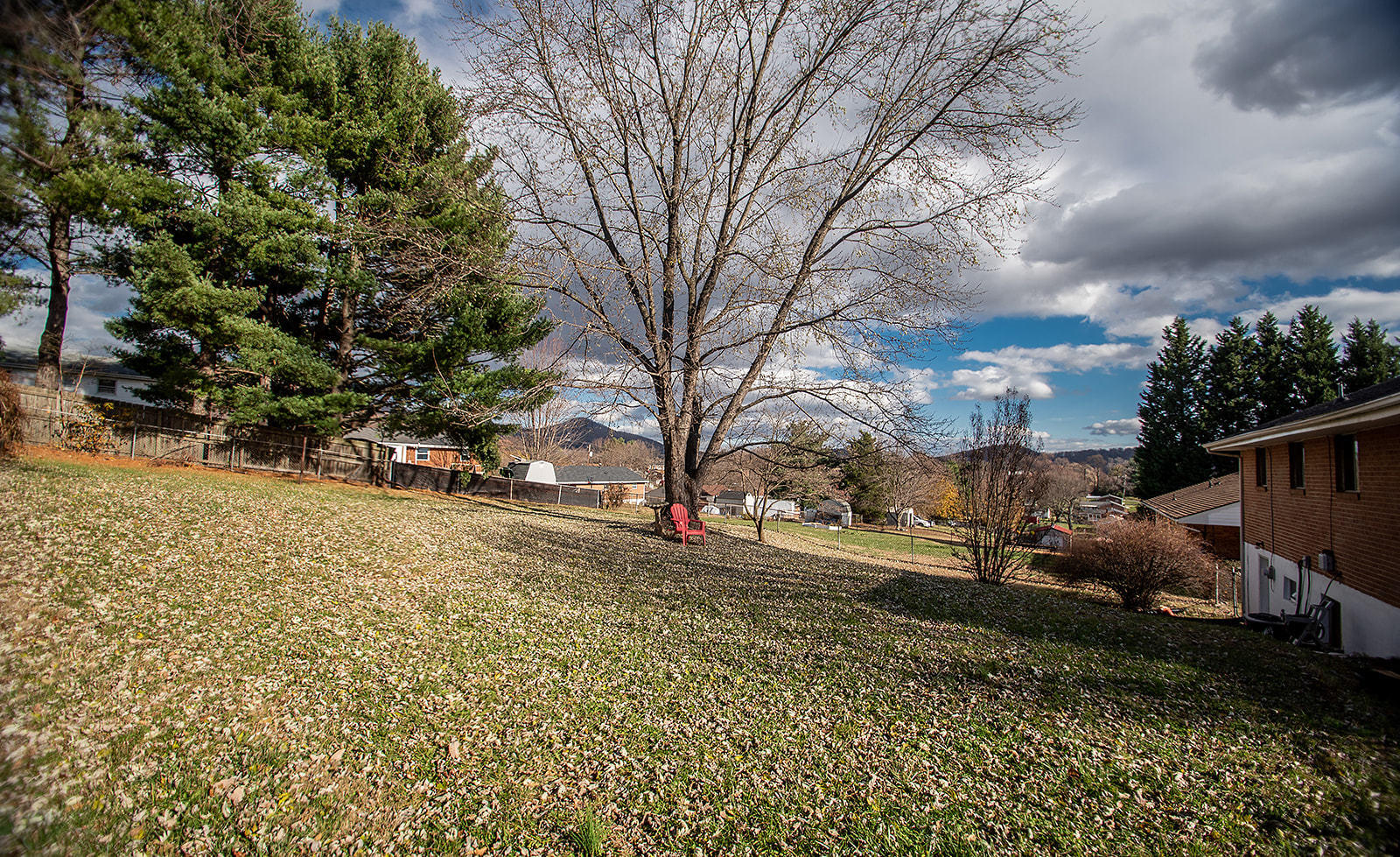 549 Holiday Road Vinton, VA 24179 - Photo 12 of 30 a view of a yard with a tree