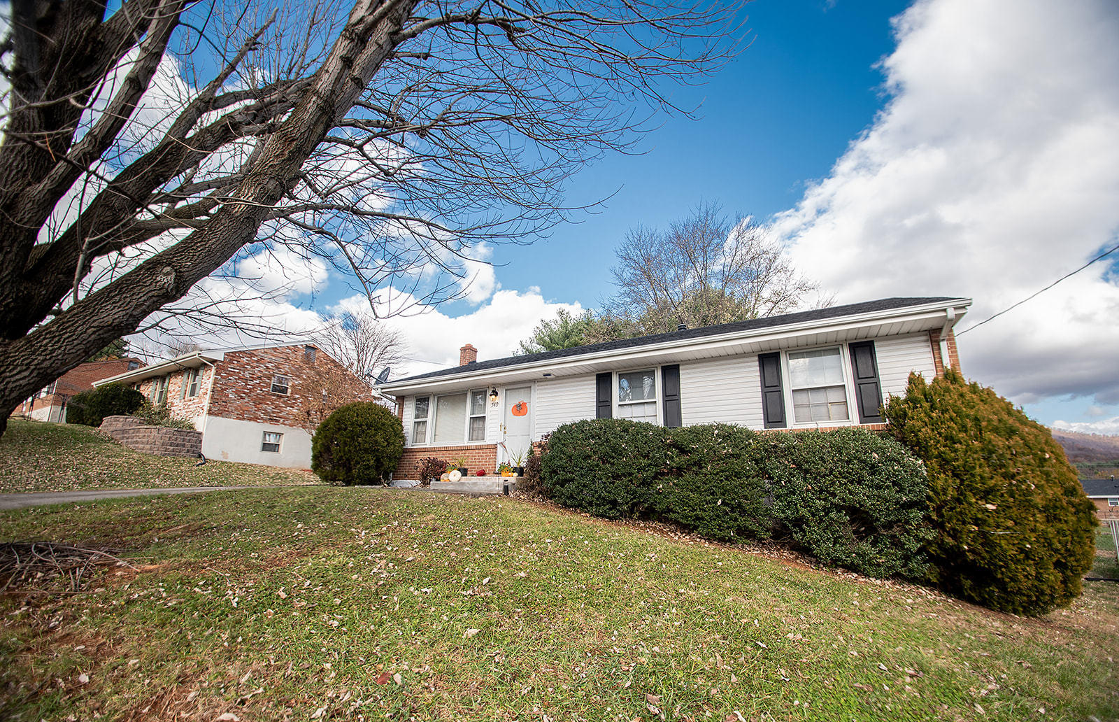 549 Holiday Road Vinton, VA 24179 - Photo 5 of 30 a view of a yard in front of a house with large tree