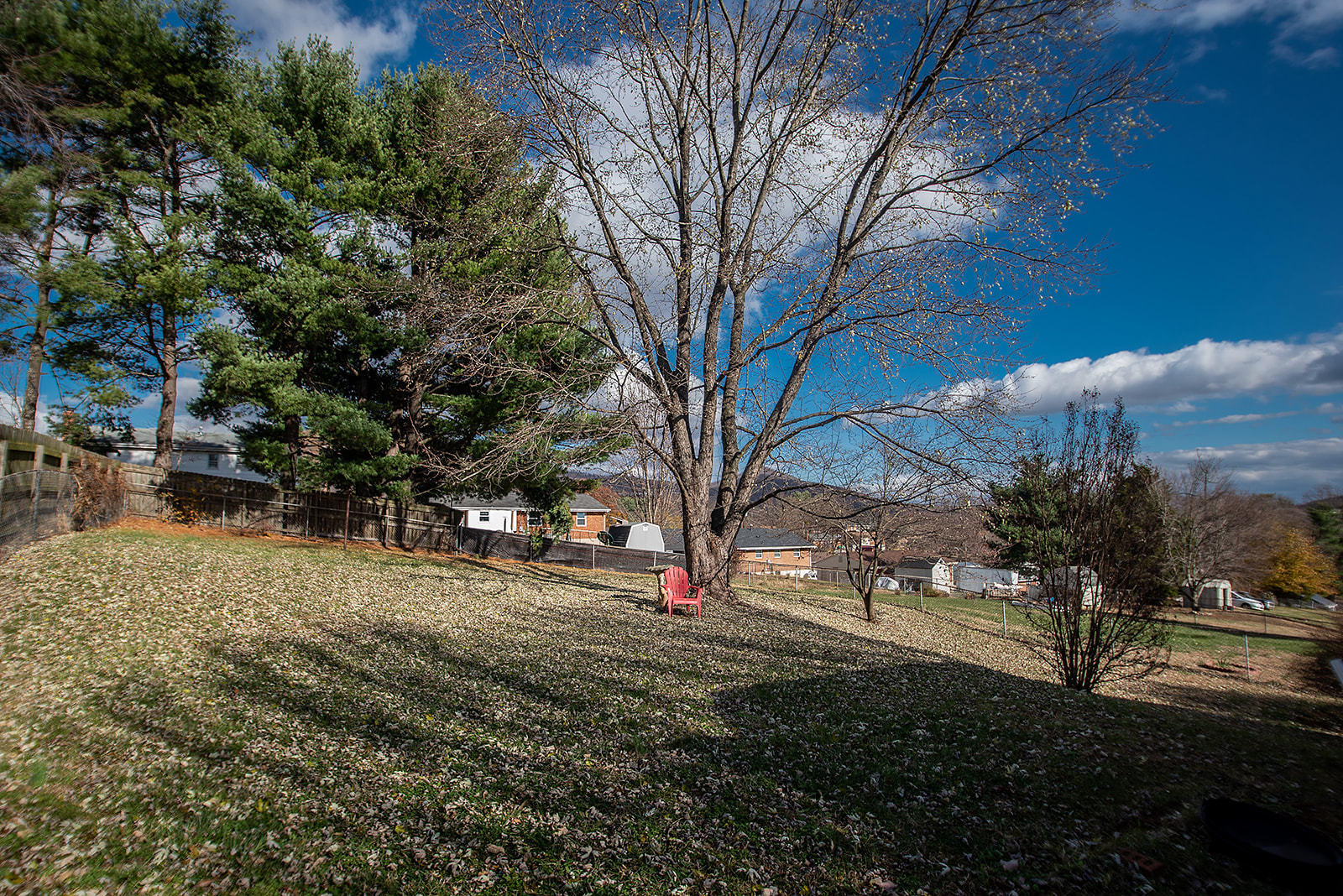 549 Holiday Road Vinton, VA 24179 - Photo 9 of 30 a view of road with large trees
