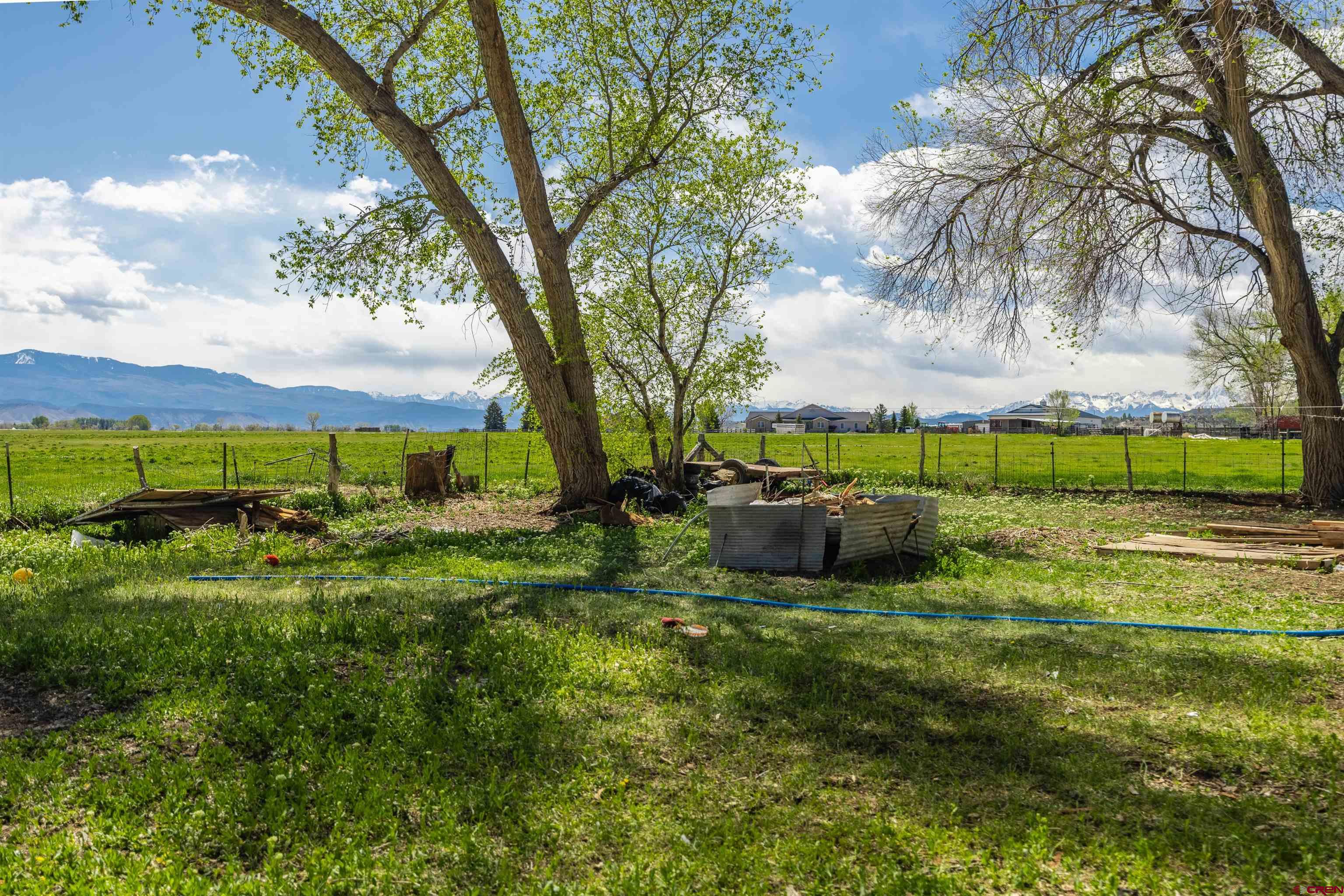 17174 6450th Road Montrose, CO 81403 - Photo 5 of 17