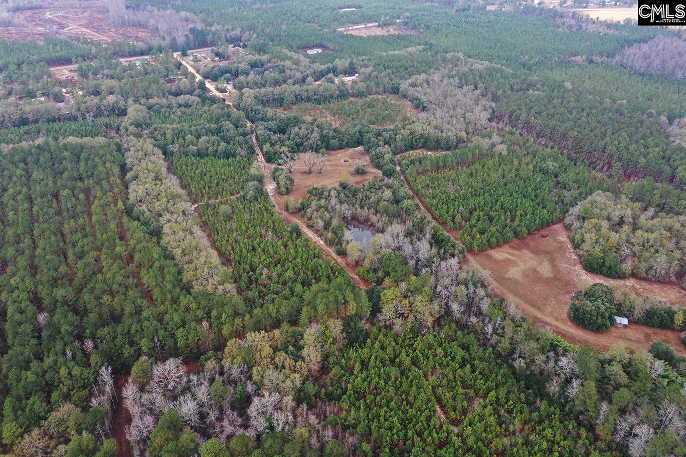6447 Neeses Highway Neeses, SC 29107 - Photo 6 of 95