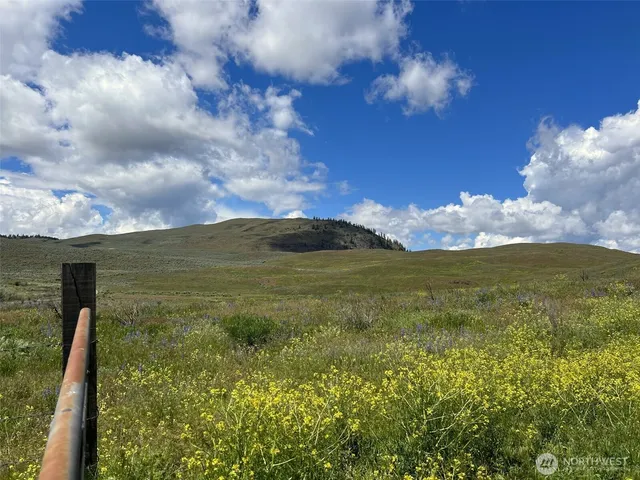 a view of a big yard next to a yard