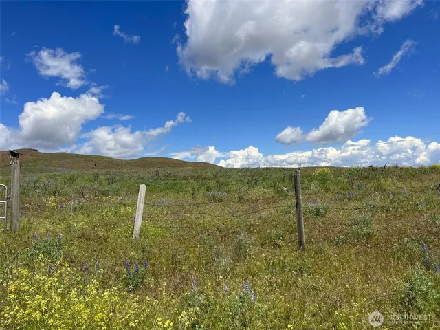 a view of a lake with a mountain