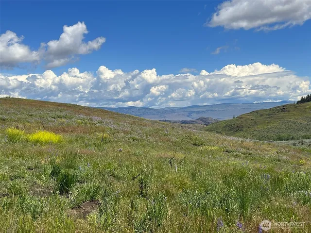 a view of lake and mountain