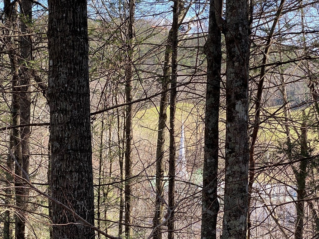 0 Little Cove Church Road Sevierville, TN 37862 - Photo 24 of 41 Gallery Image 24