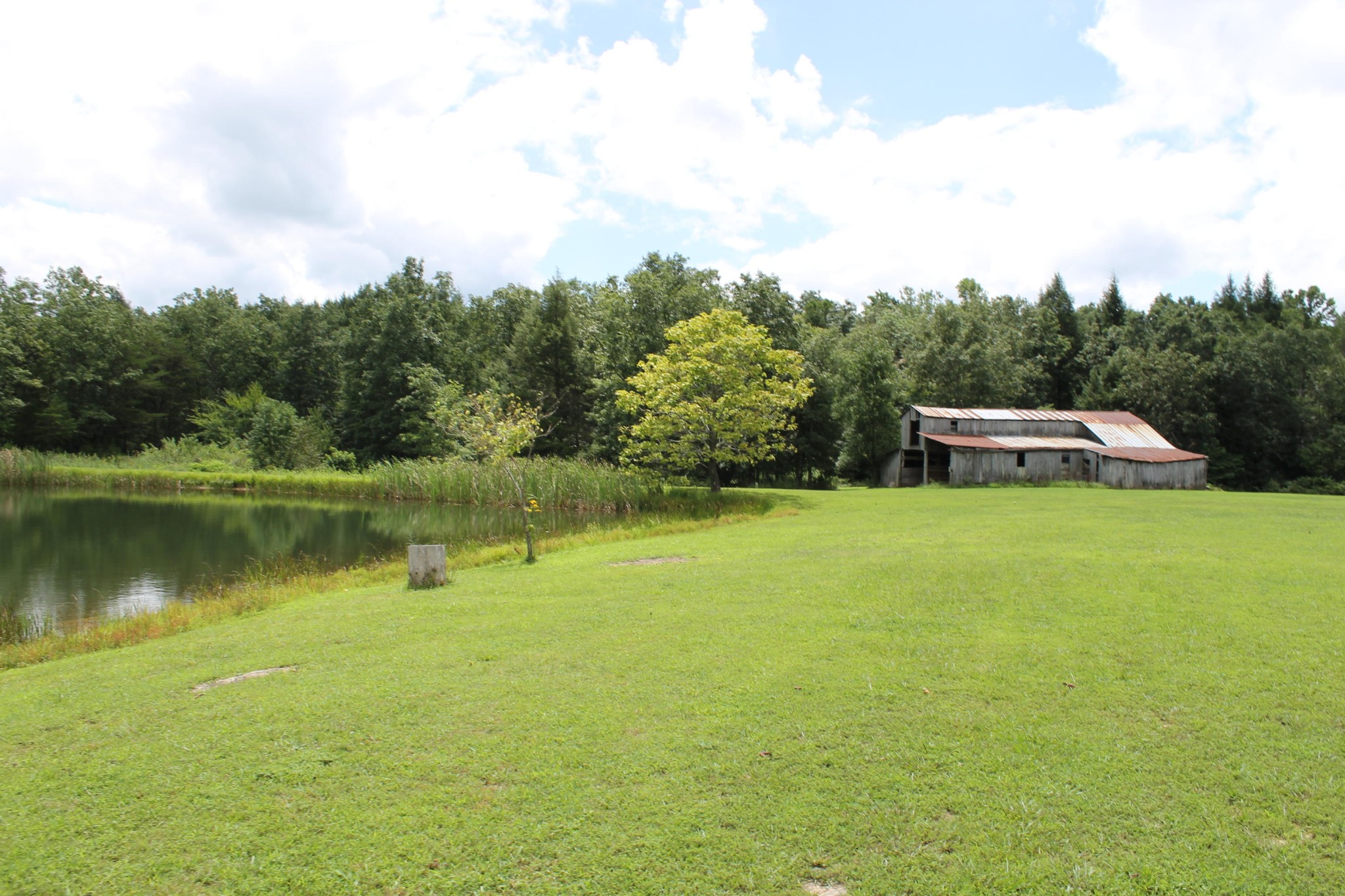 1326 Virgil Beaty Road Clarkrange, TN 38553 - Photo 21 of 26 a view of a lake with houses in the background