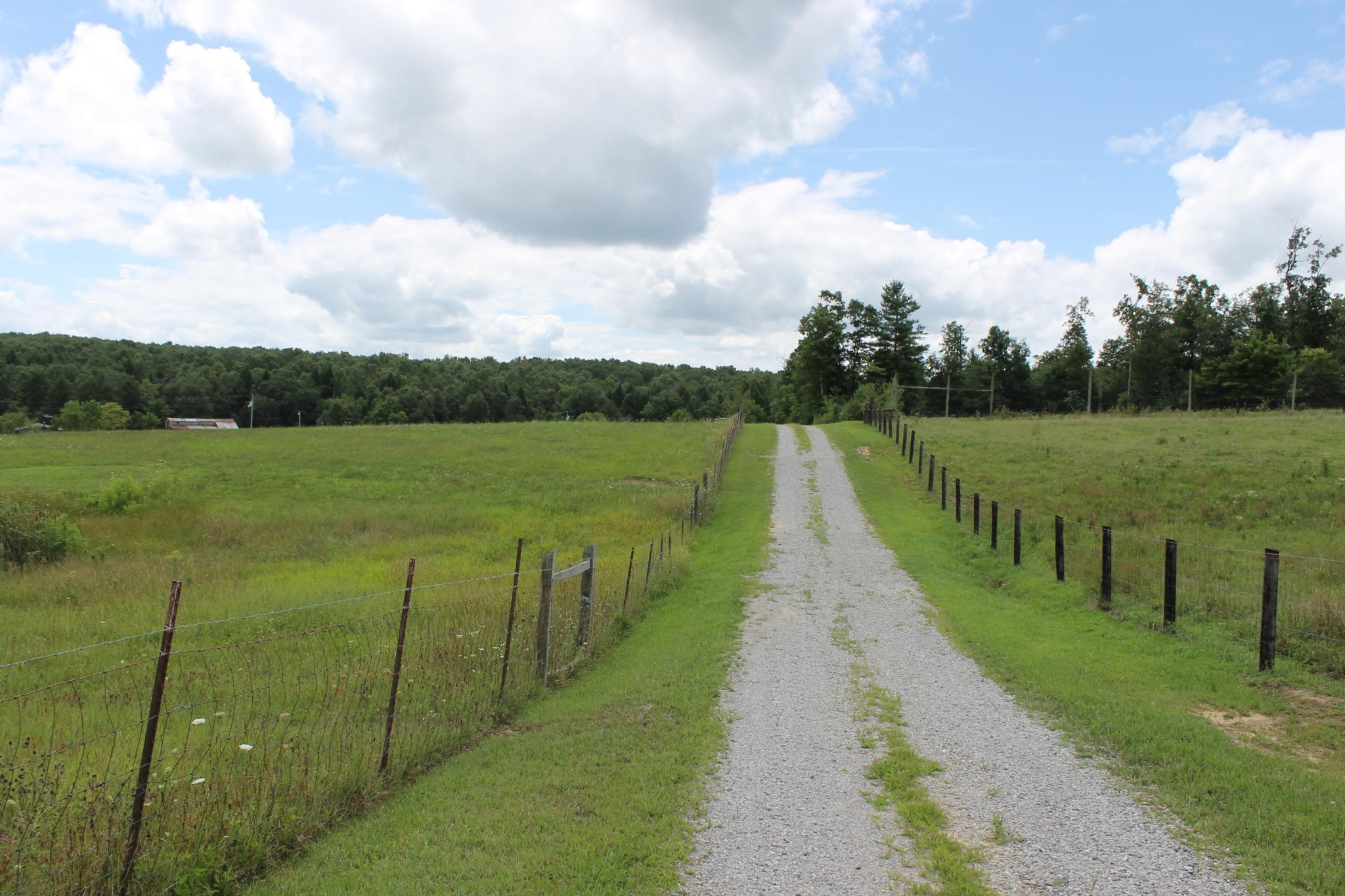 1326 Virgil Beaty Road Clarkrange, TN 38553 - Photo 24 of 26 a view of a lake with a big yard