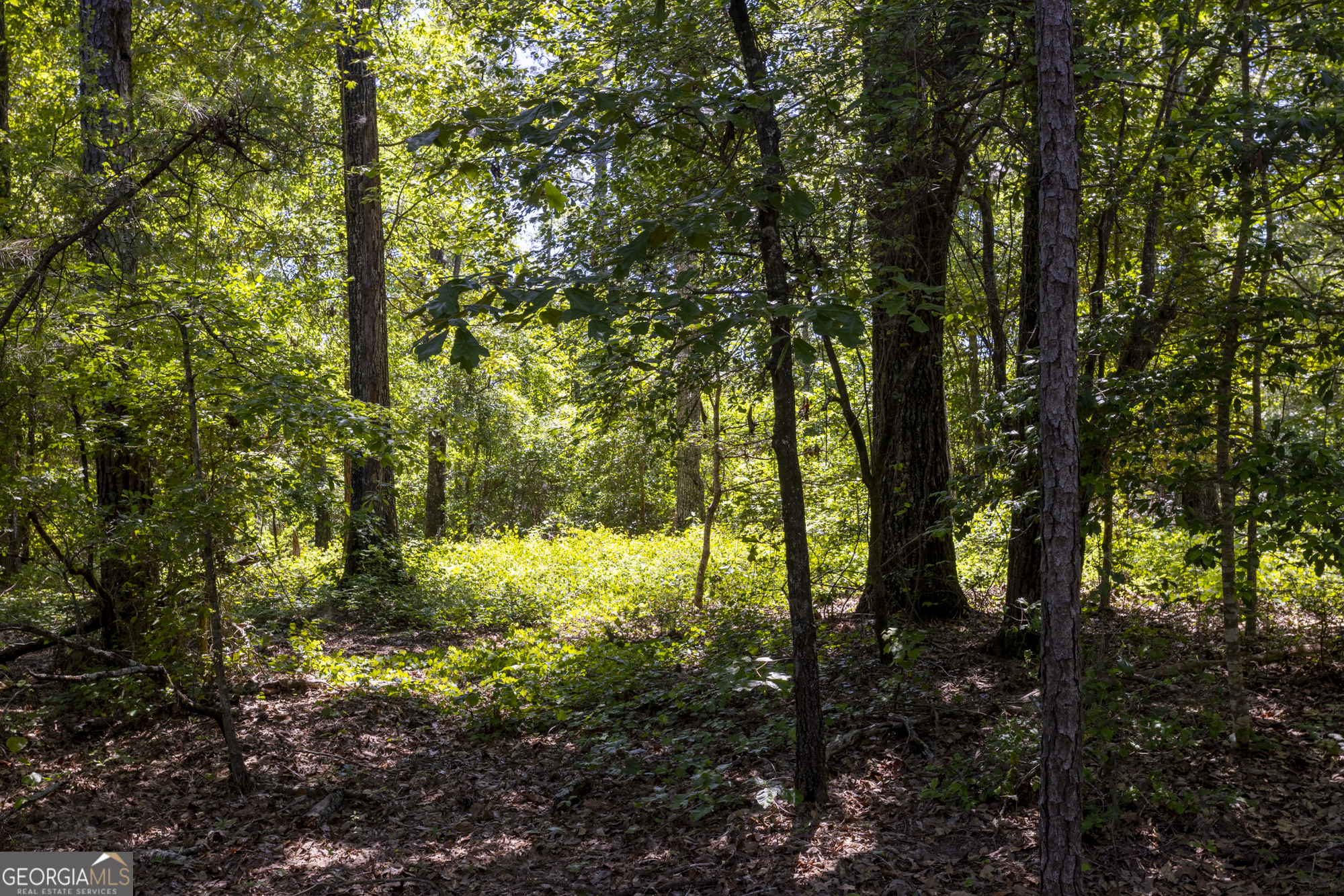 0 Old Griswoldville Road Macon, GA 31217 - Photo 37 of 62