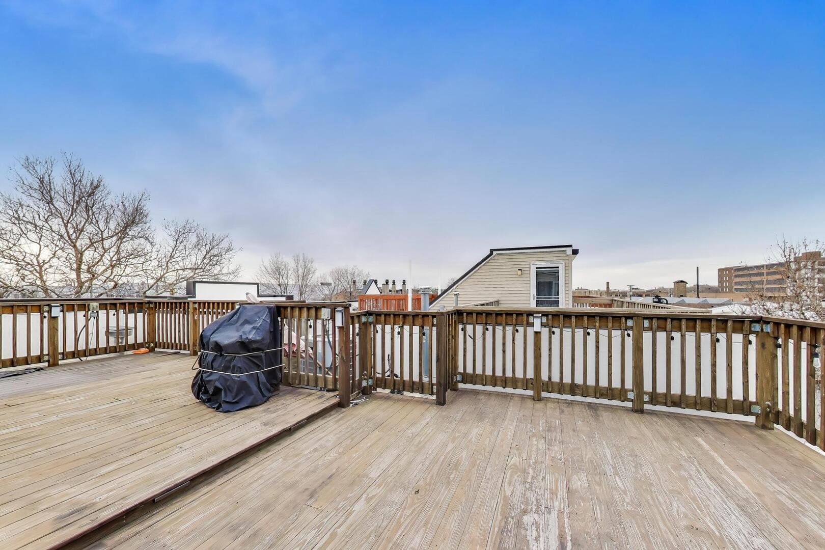 3625 South Morgan Street, Unit C Chicago, IL 60609 - Photo 32 of 44 a view of a roof deck