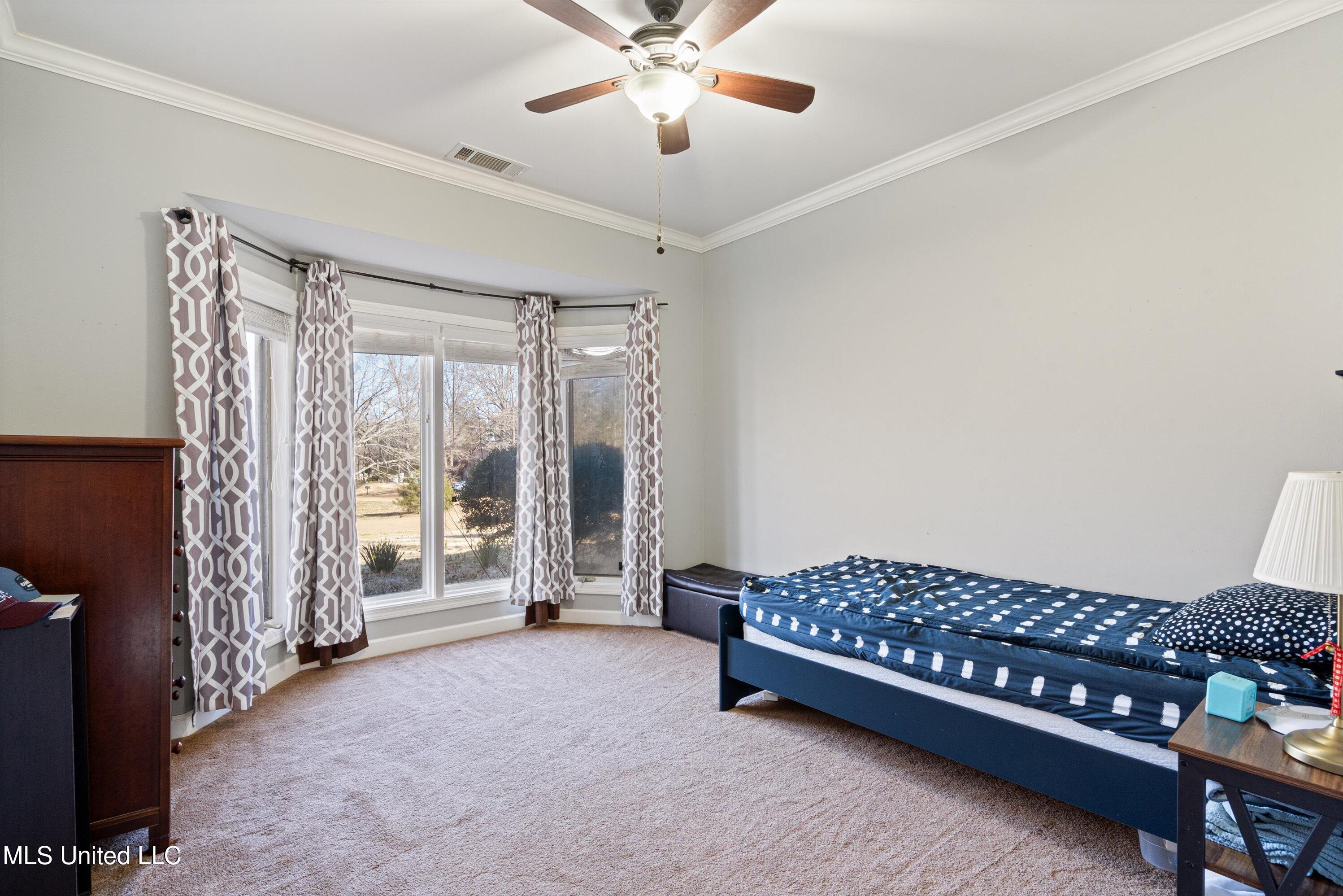 2601 Bienville Road Nesbit, MS 38651 - Photo 25 of 41 19-DSC0555