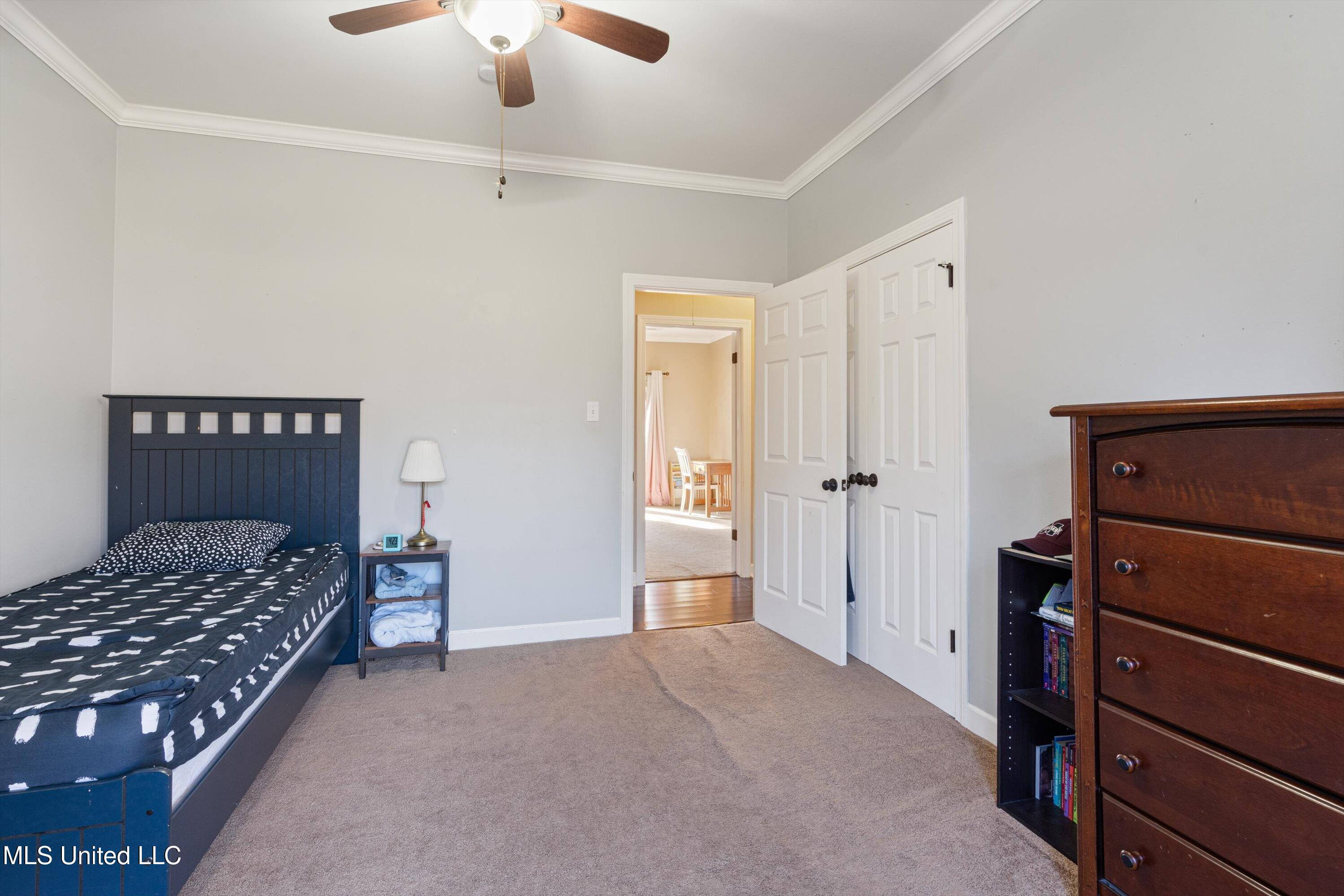 2601 Bienville Road Nesbit, MS 38651 - Photo 26 of 41 20-DSC0560
