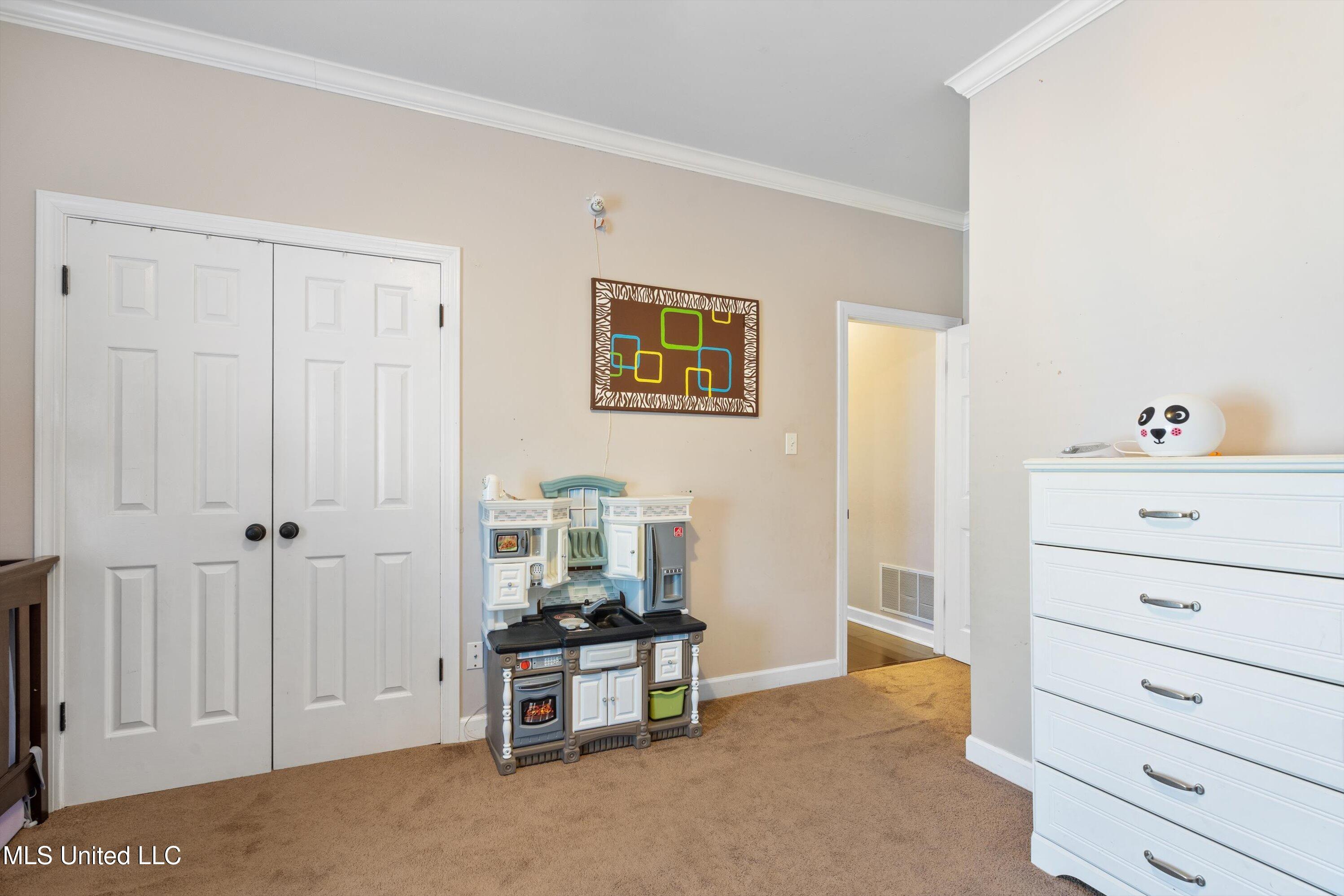 2601 Bienville Road Nesbit, MS 38651 - Photo 28 of 41 13-DSC0525