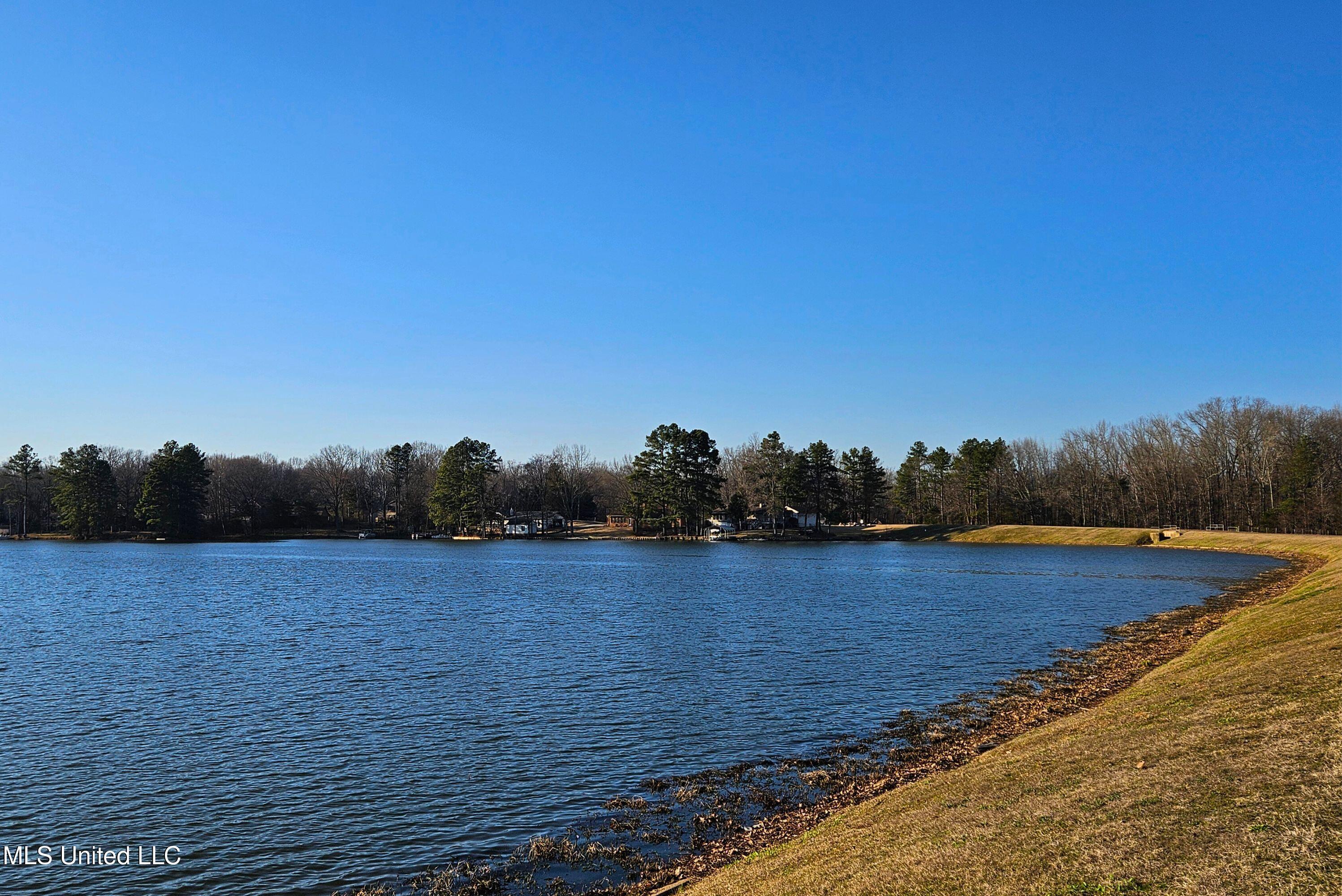 2601 Bienville Road Nesbit, MS 38651 - Photo 40 of 41 5