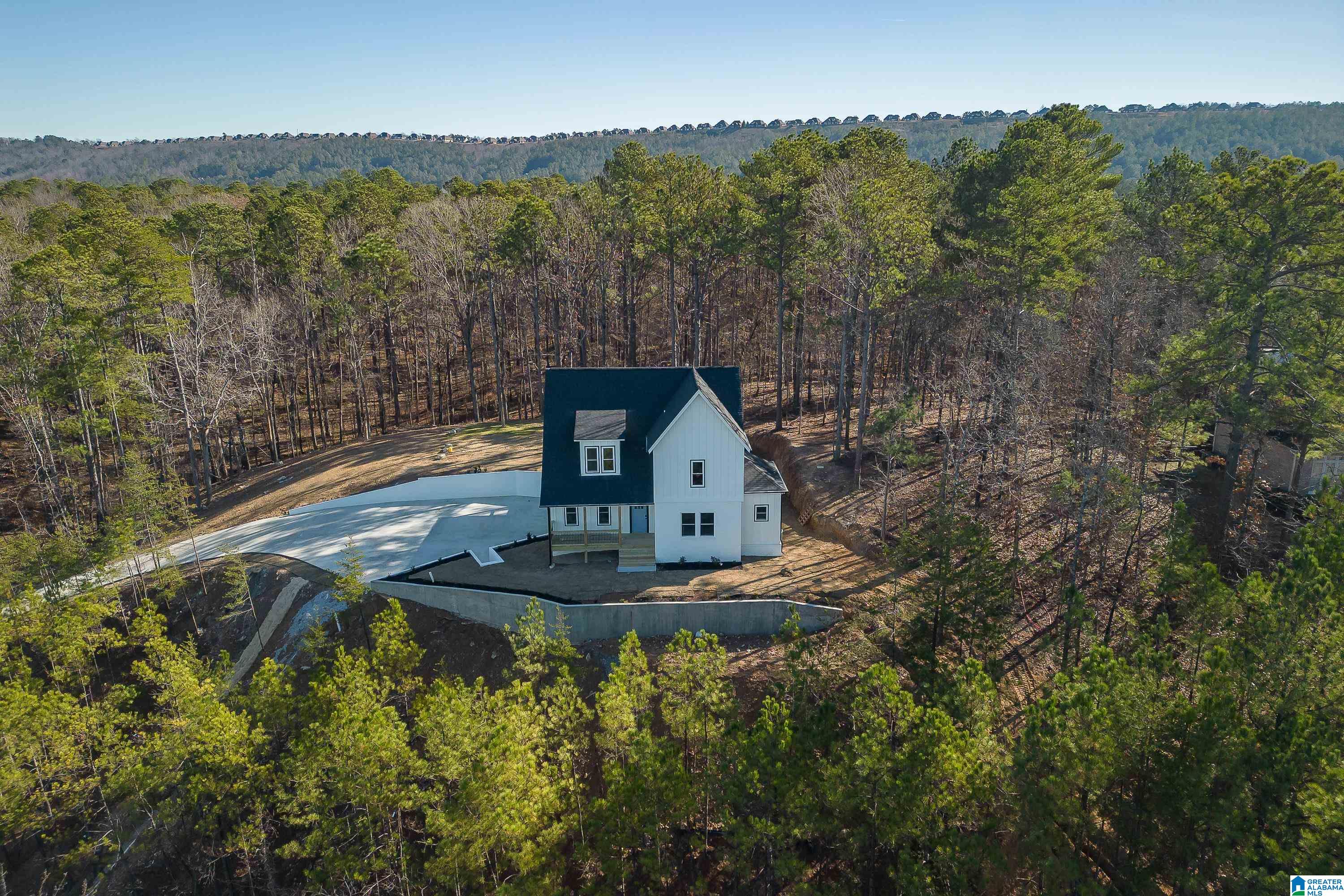 247 Weatherly Club Drive Alabaster, AL 35007 - Photo 3 of 51