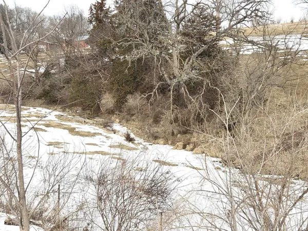 $224,000 | 15-ac County Road W, Hazel Green, WI 53811