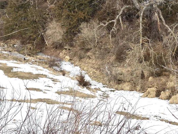 $224,000 | 15-ac County Road W, Hazel Green, WI 53811