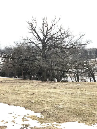 $224,000 | 15-ac County Road W, Hazel Green, WI 53811