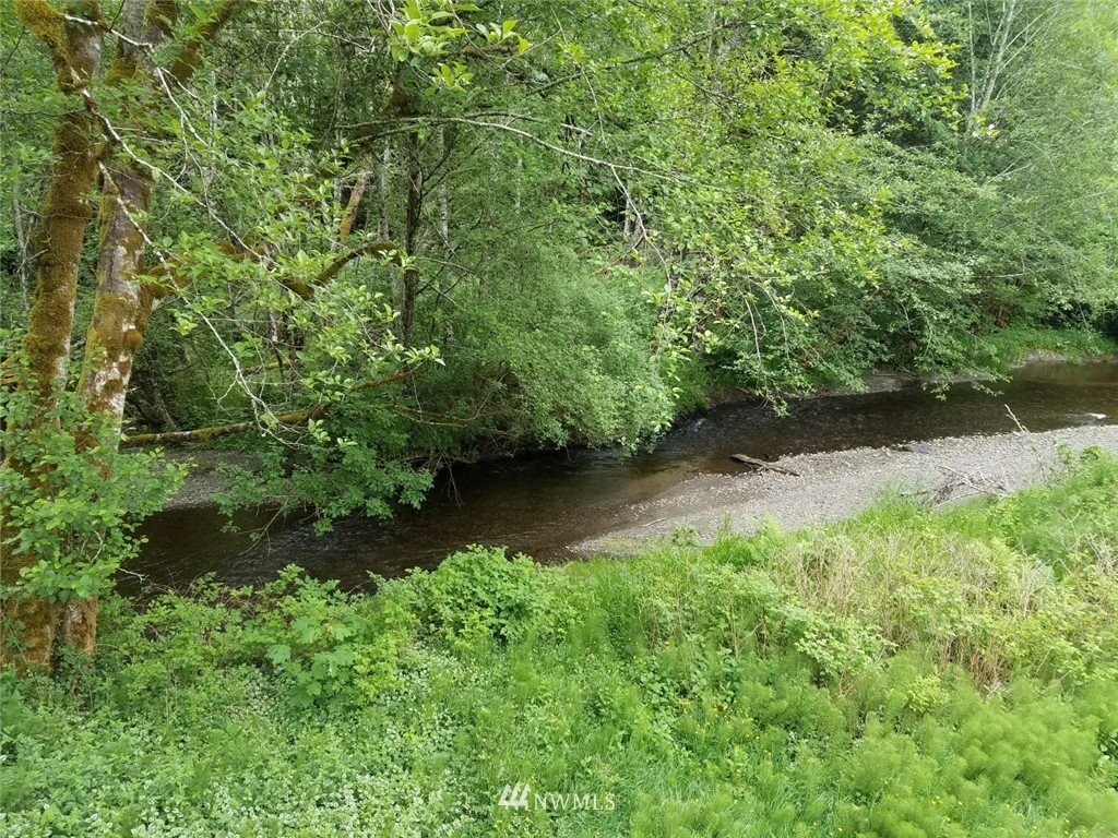 1010 East Mikkelsen Road Shelton, WA 98584 - Photo 5 of 16
