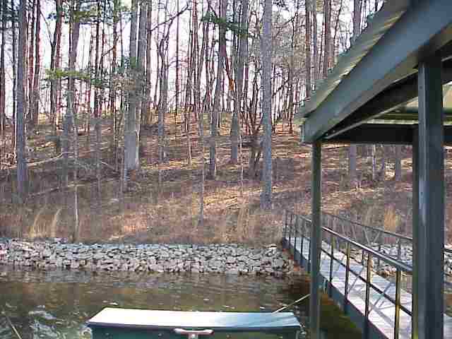 145 Cane Creek Harbor Road, Unit LOT 3 Seneca, SC 29672 - Photo 4 of 9 Gallery Image 4