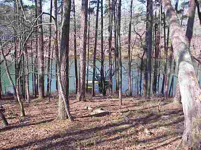 145 Cane Creek Harbor Road, Unit LOT 3 Seneca, SC 29672 - Photo 8 of 9 Gallery Image 8