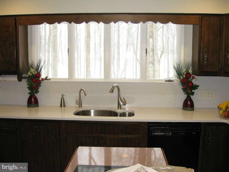 2117 Sondra Court Silver Spring, MD 20905 - Photo 15 of 30 Kitchen Sink & Window