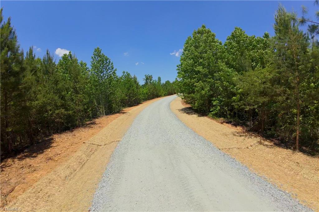 11 Roby Fulk Road Pinnacle, NC 27043 - Photo 12 of 13