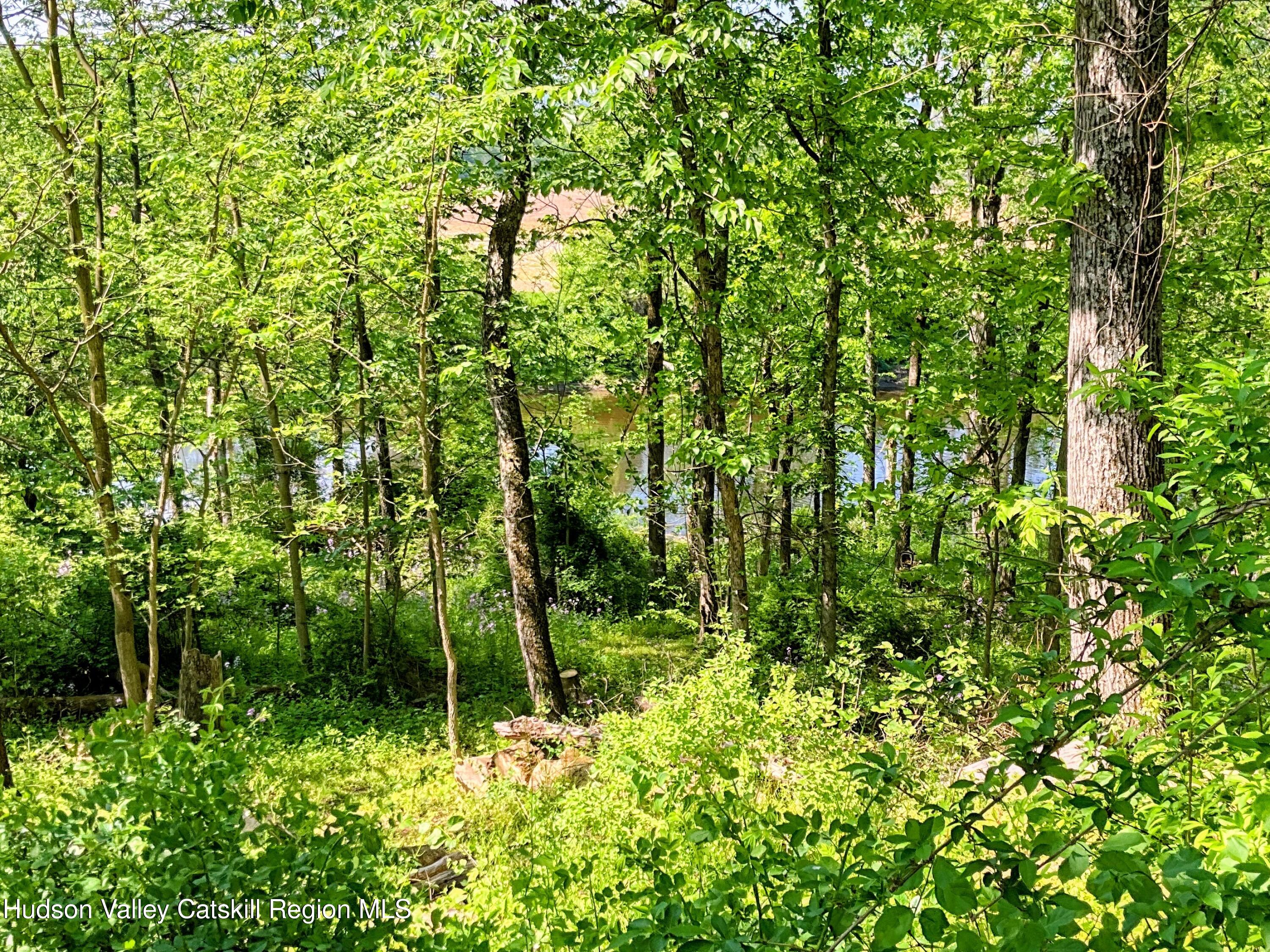 24 Rondout Lane Accord, NY 12404 - Photo 46 of 61 IMG_3953