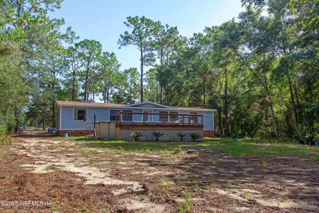 a view of a potted plant on a counter