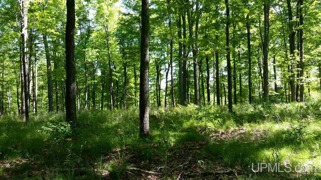 Tbd Off Swan Peterson Road Foster City, MI 49807 - Photo 3 of 18