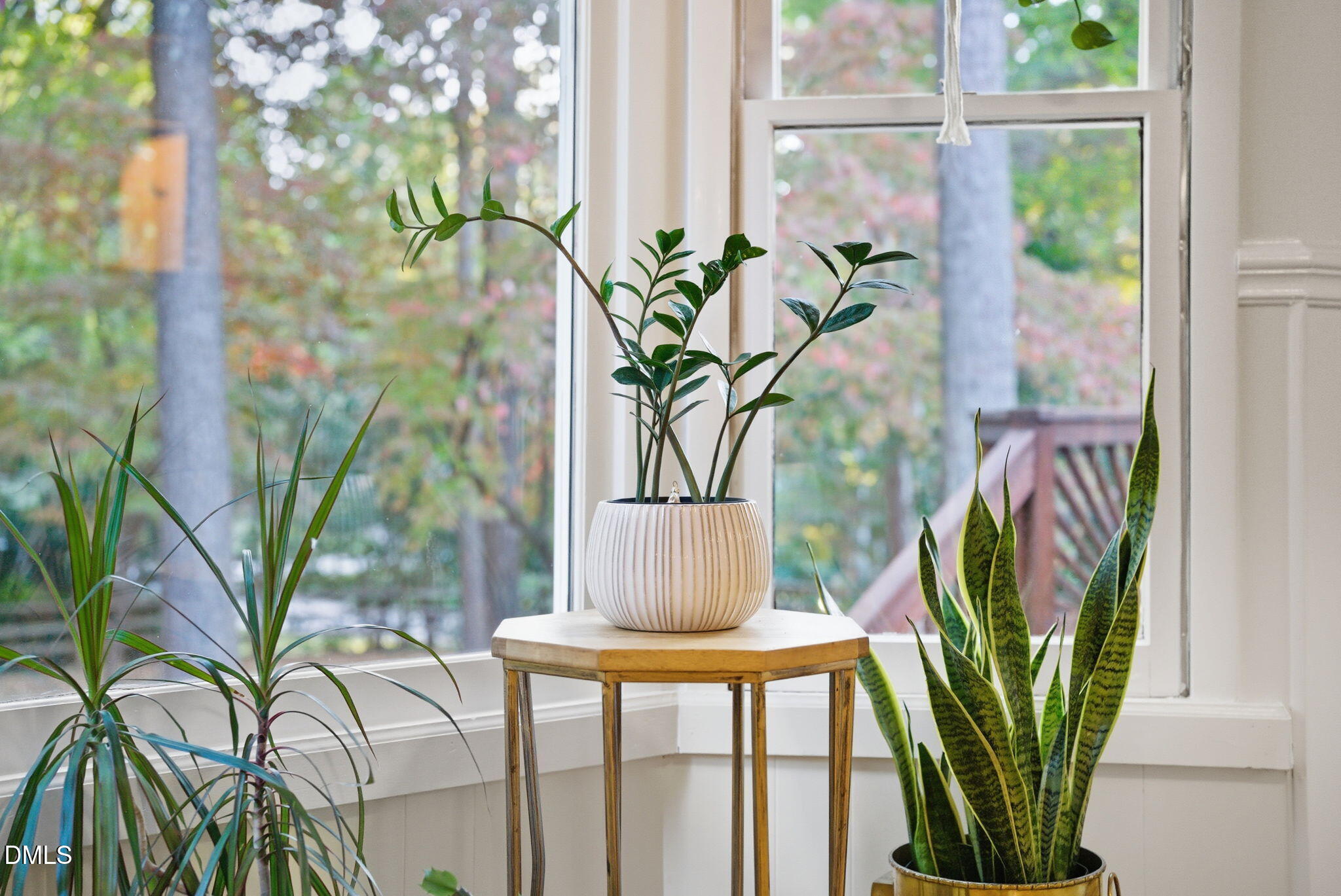 531 West Cornwall Road Cary, NC 27511 - Photo 31 of 77 a view of a vase of flowers sitting next to a window