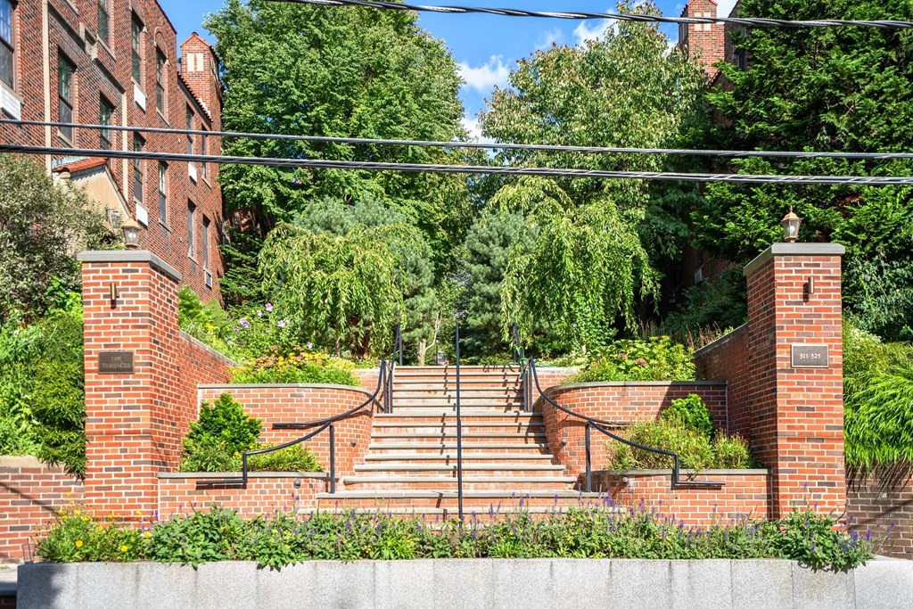 311 Tappan Street, Unit 2 Brookline, MA 02445 - Photo 25 of 26 a backyard of a house with lots of green space and plants