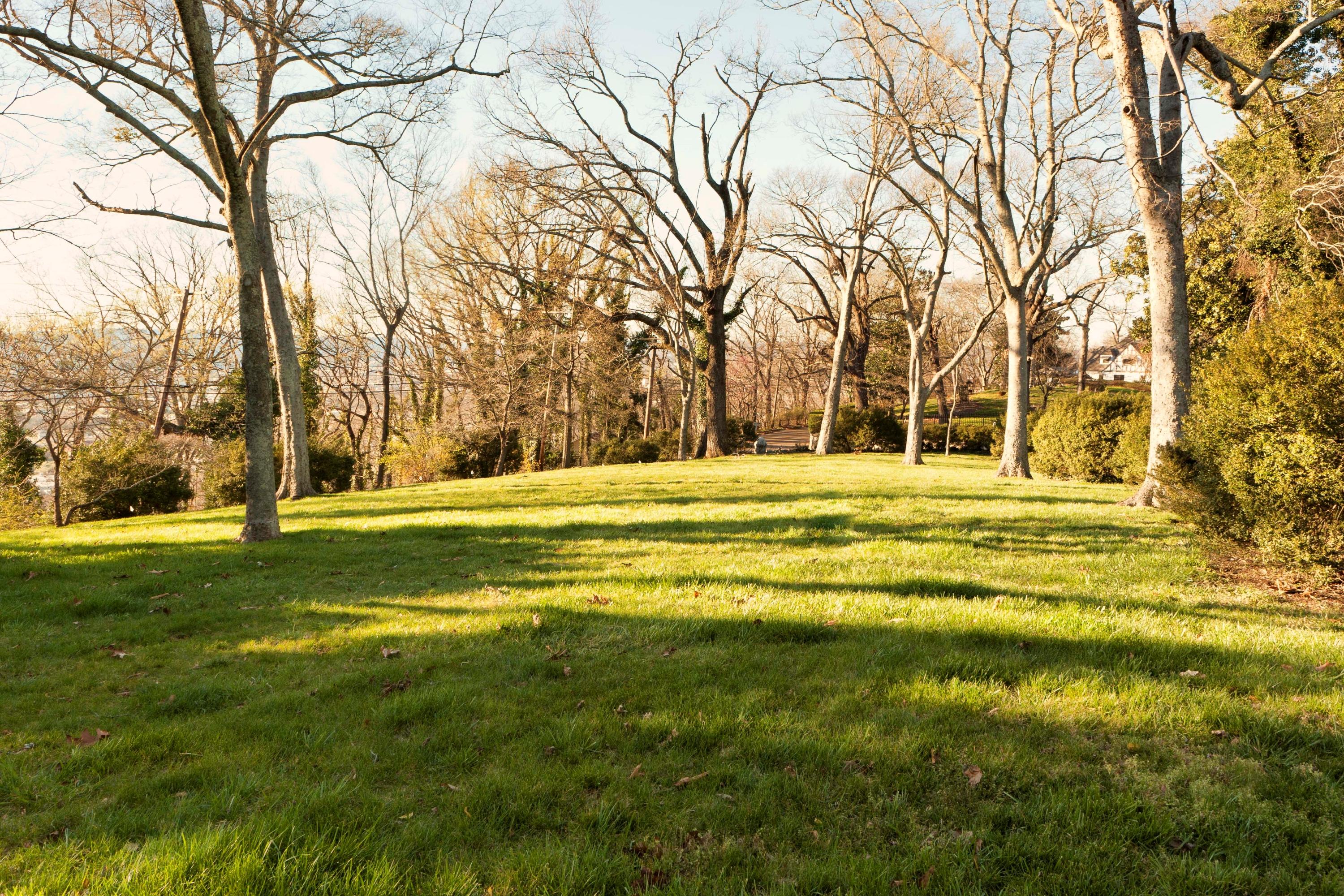 360 South Crest Road Chattanooga, TN 37404 - Photo 4 of 26 004yard