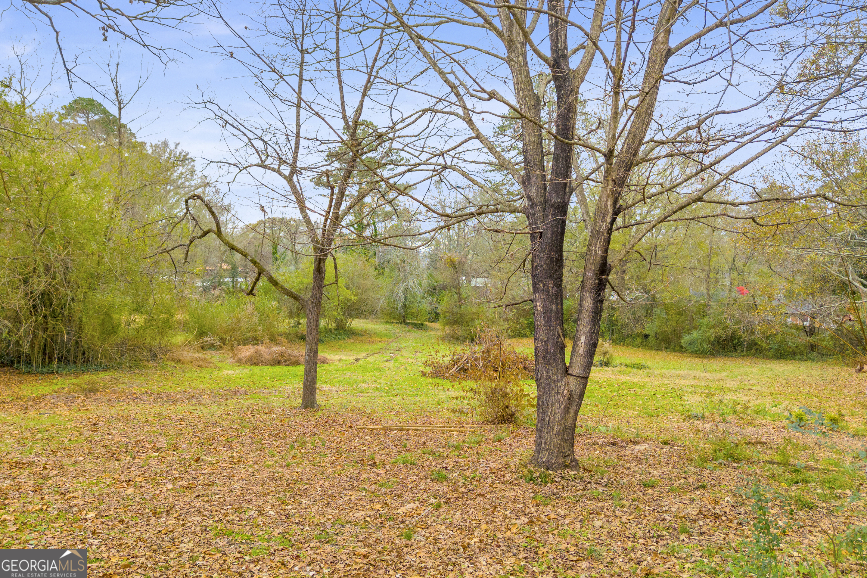 132 Queen Street Toccoa, GA 30577 - Photo 15 of 46 a view of yard with swimming pool