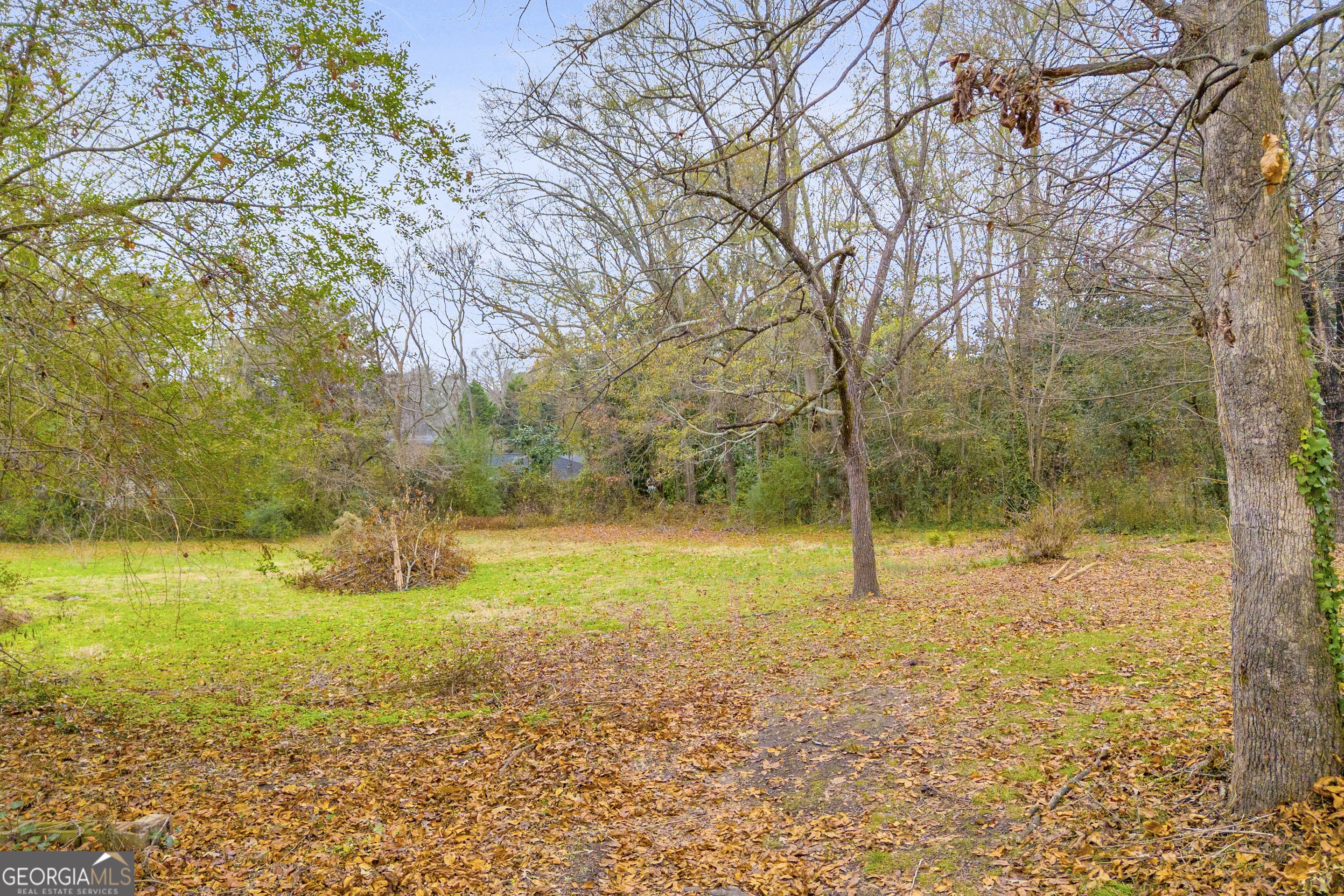 132 Queen Street Toccoa, GA 30577 - Photo 16 of 46 a view of yard with an trees