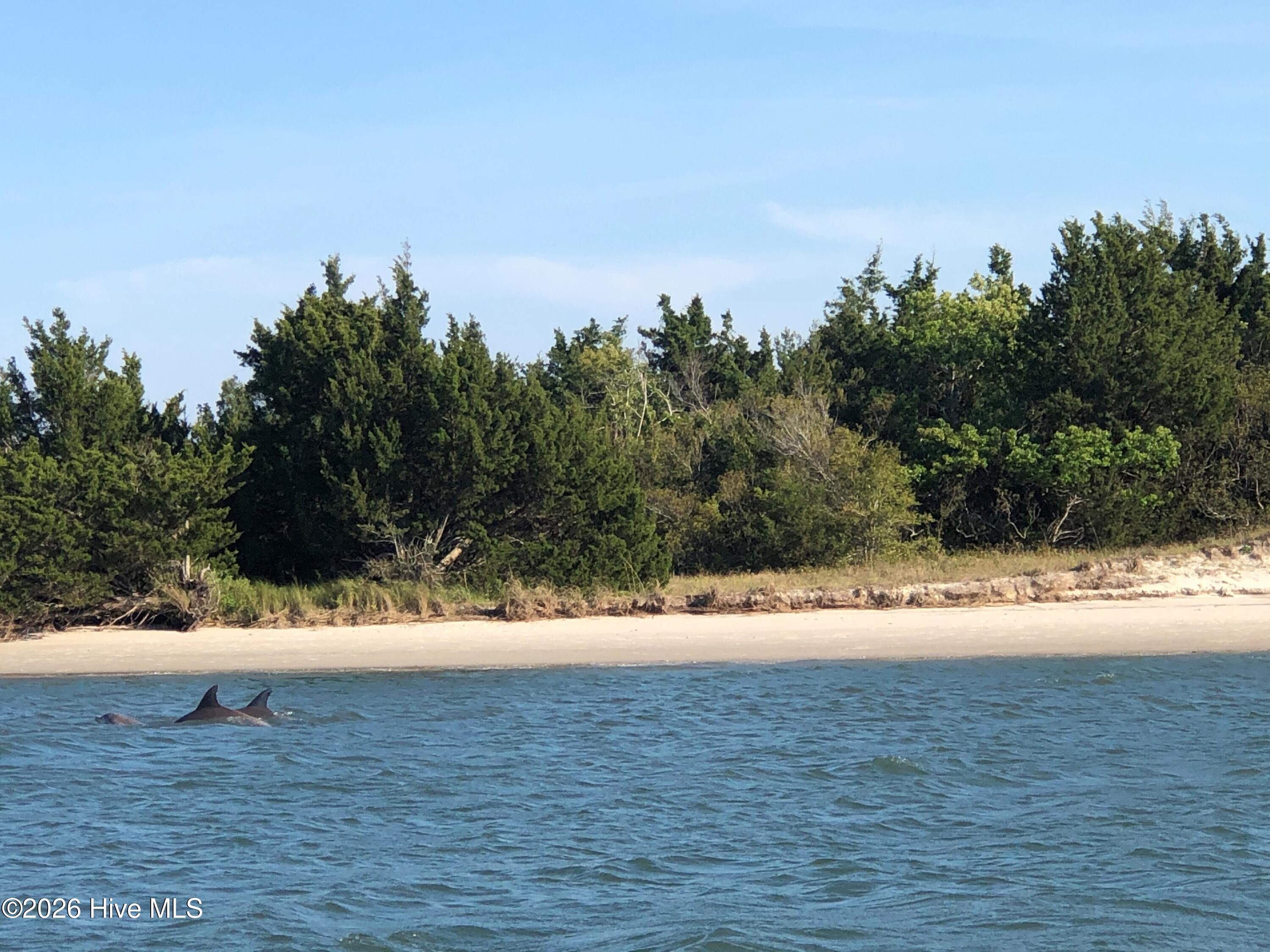 125 Front Street Beaufort, NC 28516 - Photo 48 of 60 Dolphin Spotting