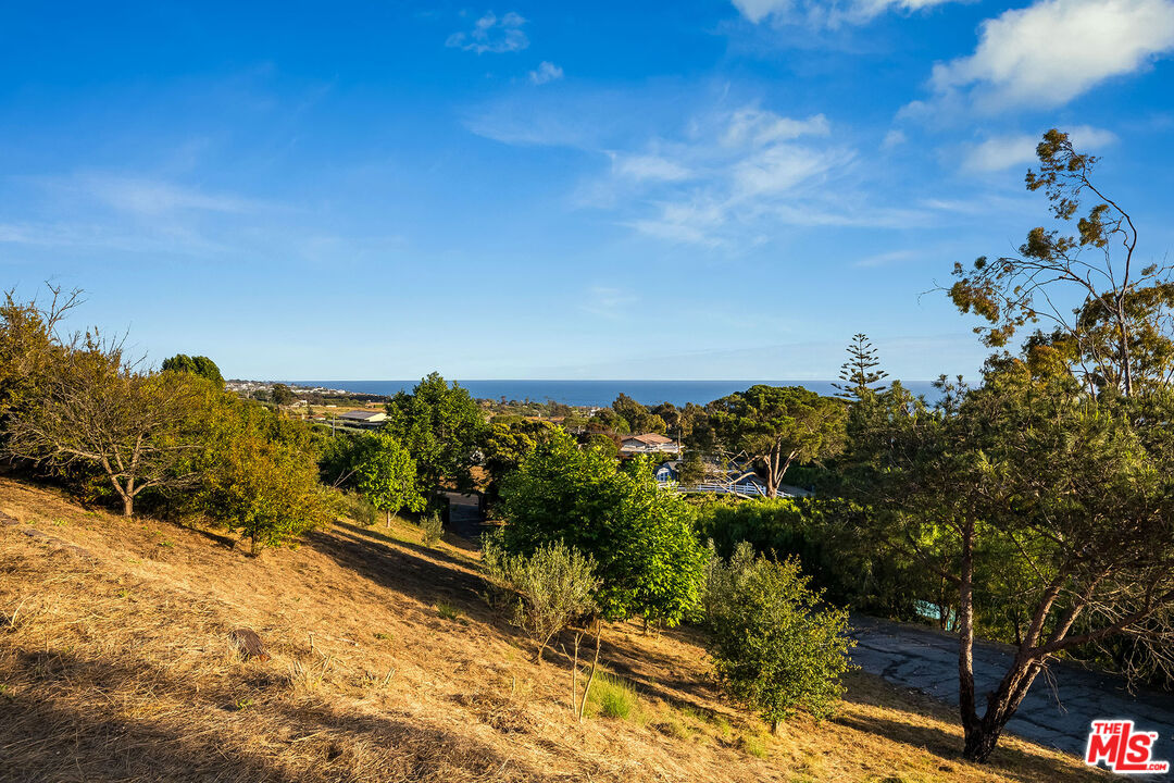 29829 Harvester Road Malibu, CA 90265 - Photo 14 of 44 a view of a yard