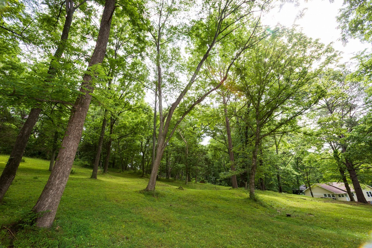 266 Denny Road Clarksville, TN 37043 - Photo 4 of 52
