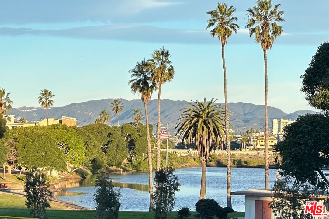 132 Convoy Street Playa del Rey, CA 90293 - Photo 14 of 16 a view of palm trees