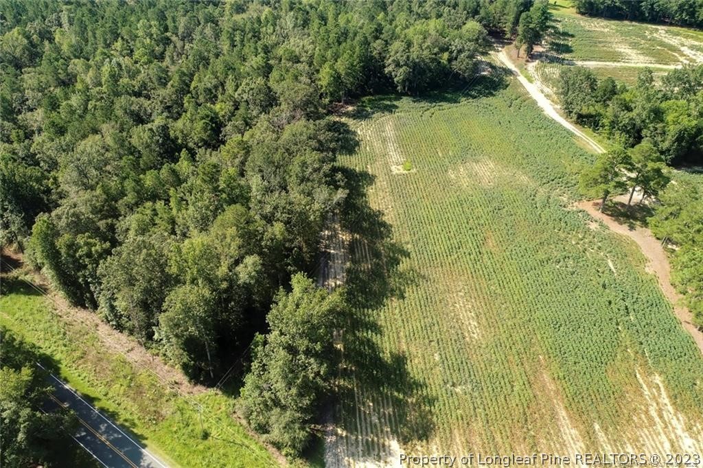 Elliott Bridge Road Bunnlevel, NC 28323 - Photo 1 of 19 Gallery Image 1