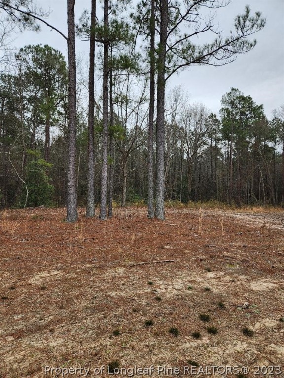 Elliott Bridge Road Bunnlevel, NC 28323 - Photo 11 of 19 Gallery Image 11