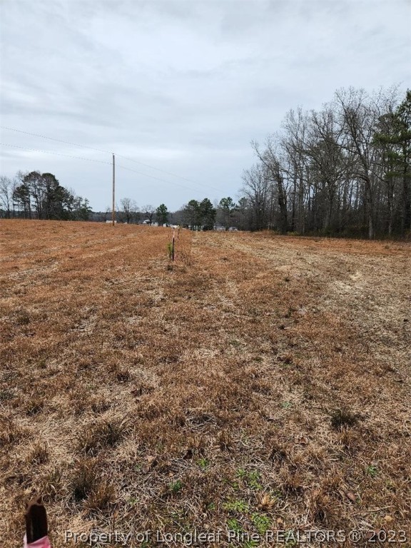 Elliott Bridge Road Bunnlevel, NC 28323 - Photo 12 of 19 Gallery Image 12